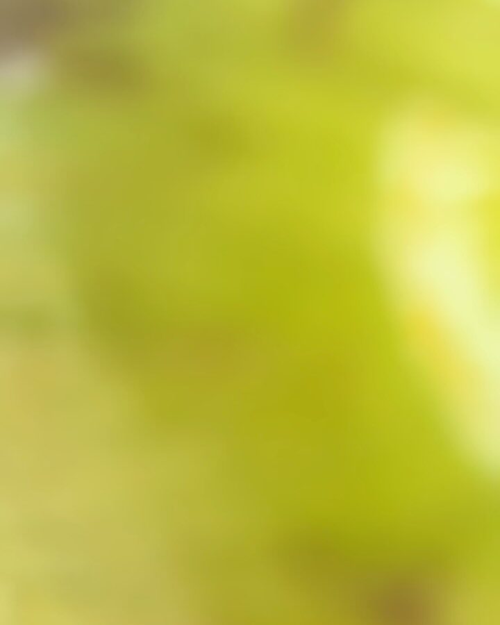 Instagram post from carlosturatto. This post is in position 5.